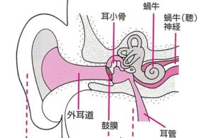 長谷川路可画文集 長谷川路可画文集 | 長谷川 路可 |本 | 通販 | Amazon