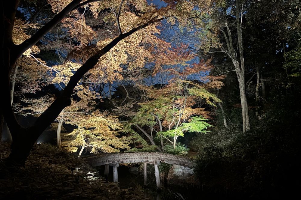六義園の紅葉「山陰橋」