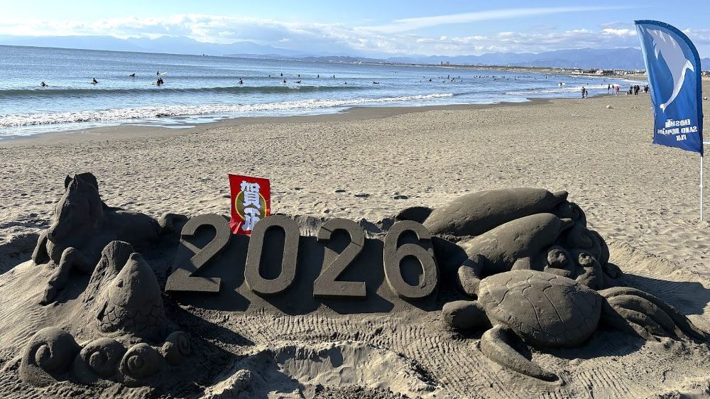 江ノ島イルカ部