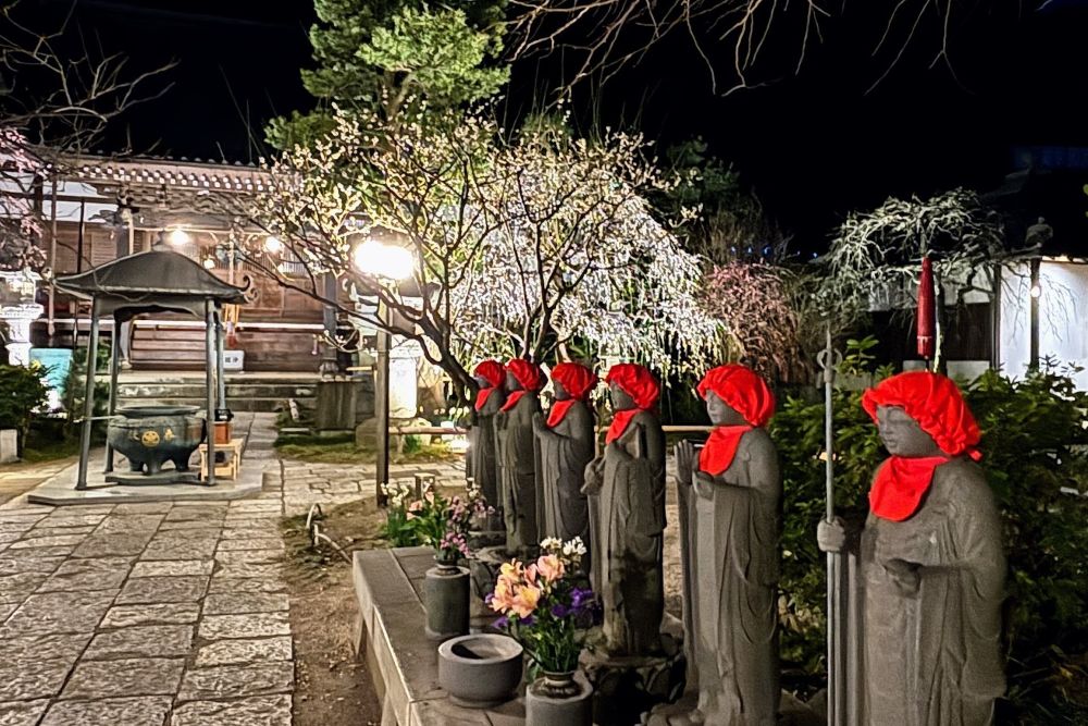 梅の香り「常立寺のライトアップ」